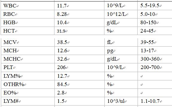 内窥镜在猫的慢性呕吐病例
