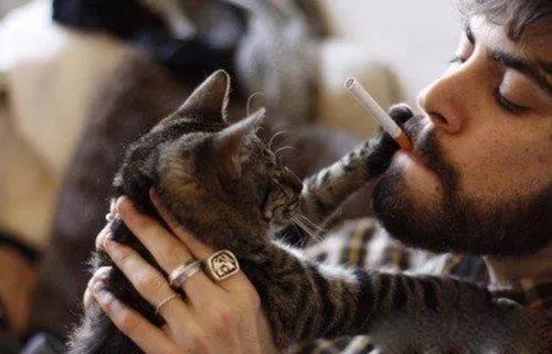 吸烟有害健康，请让猫咪远离二手烟