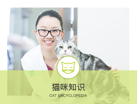 猫猫打喷嚏是为啥？宠物医生